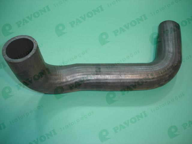 Mangueira