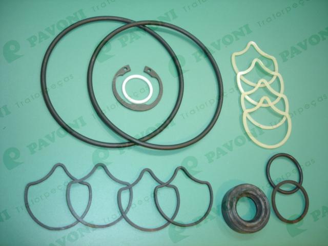 Reparo gota