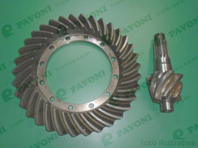 Coroa e pinhao tras. 7x34