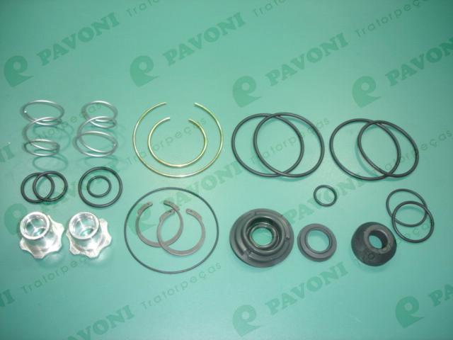 Reparo valv. pedal