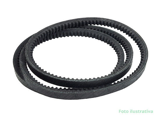 CORREIA (DENTADA)
