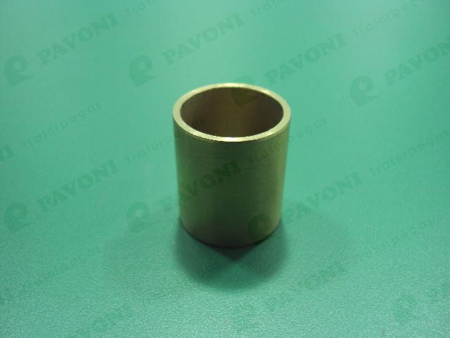 Bucha bronze