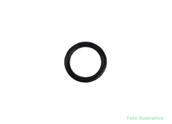 ANEL O-RING
