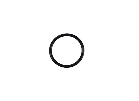 ANEL O-RING