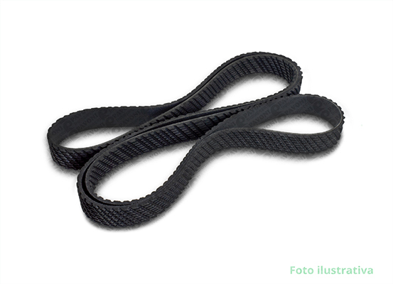 CORREIA