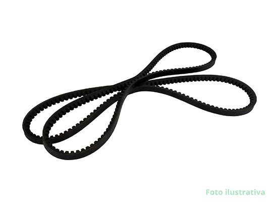 CORREIA