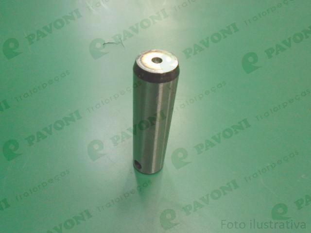 Mudou p pv10038