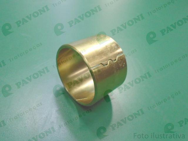 Bucha bronze
