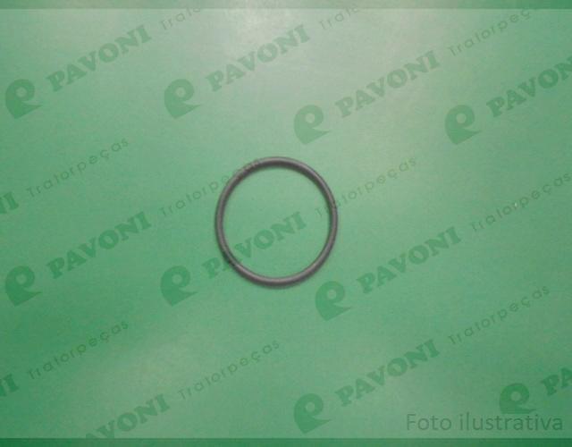 Anel o-ring