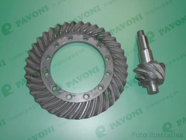Coroa e pinhao 7x37