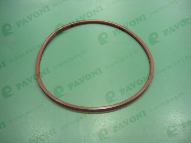 Anel viton