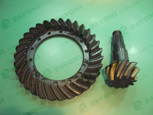 Coroa e pinhao tras. 9x31