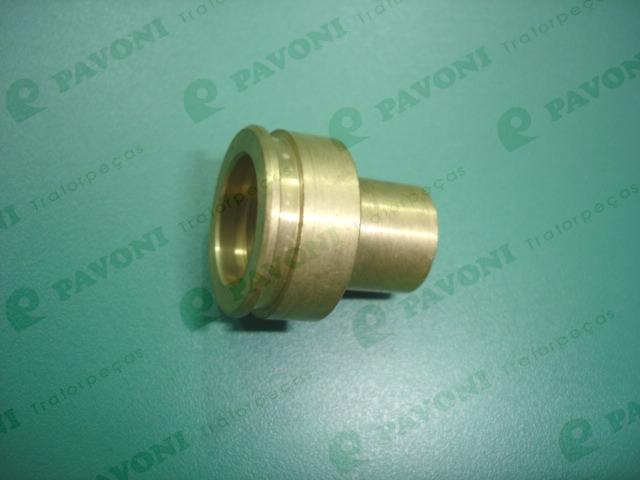 Carcaca de bronze