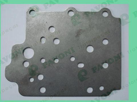 Placa  232489 am