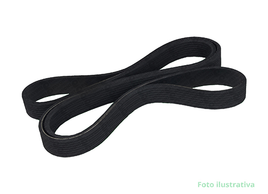 CORREIA