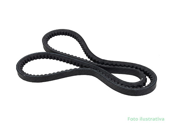 CORREIA  DENTADA