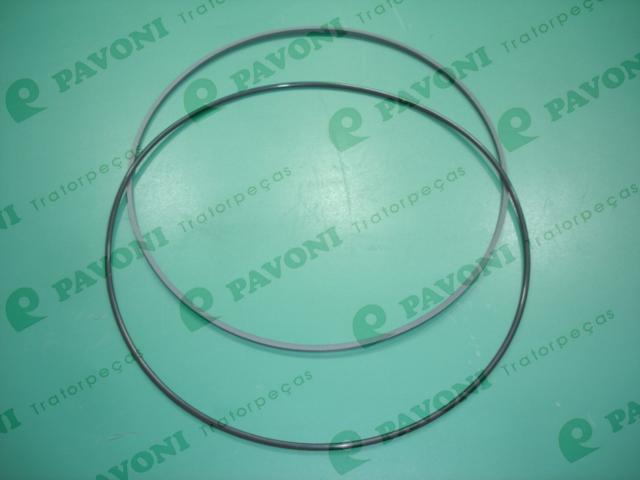 Cjto.de aneis - viton