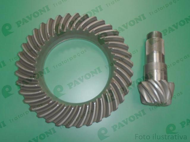 Coroa e pinhao diant. 9x37
