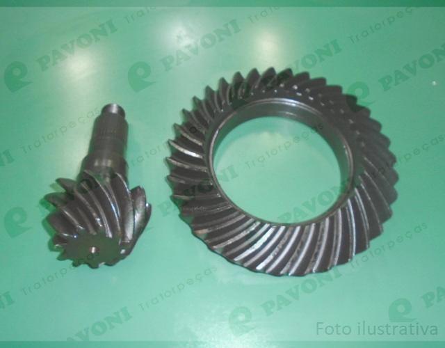 Coroa e pinhao 11x35