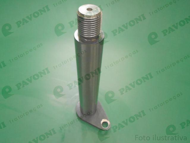 Pino  55 x 345