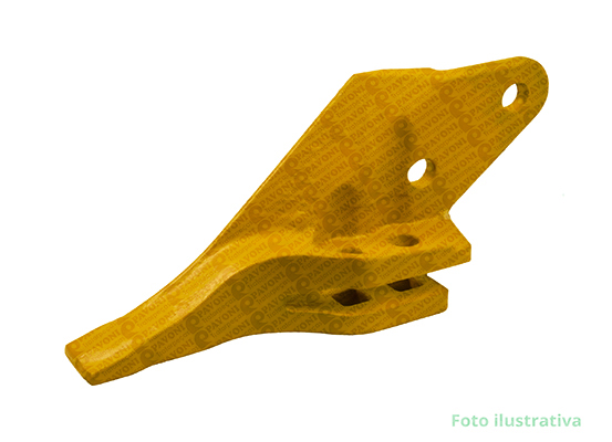 DENTE LATERAL DIR.