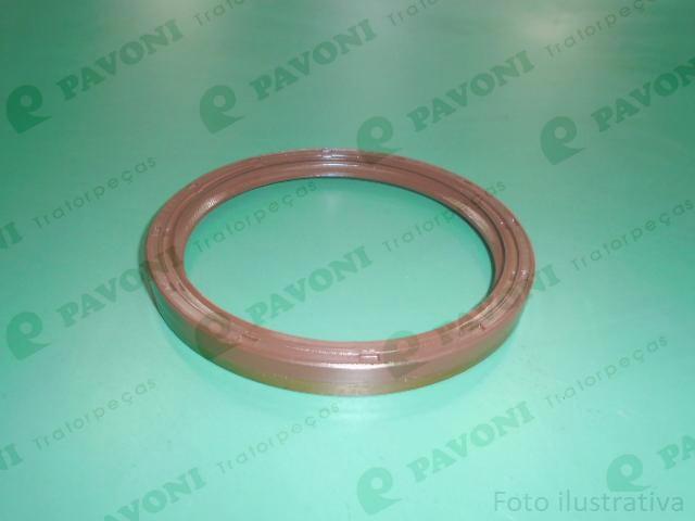 Retentor viton traseiro 120x140x13