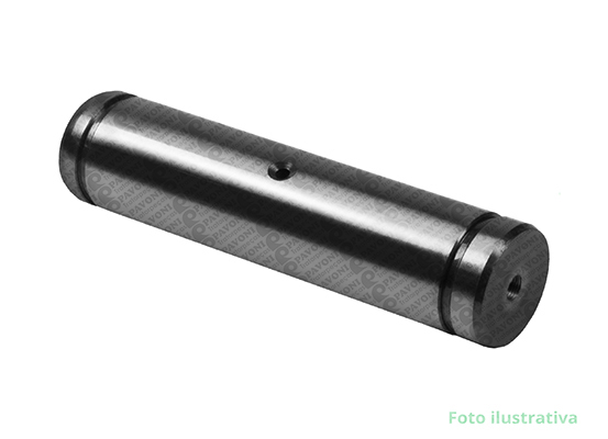 PINO S/ FURO