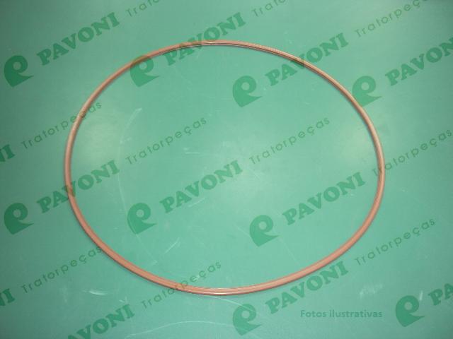 Anel  viton