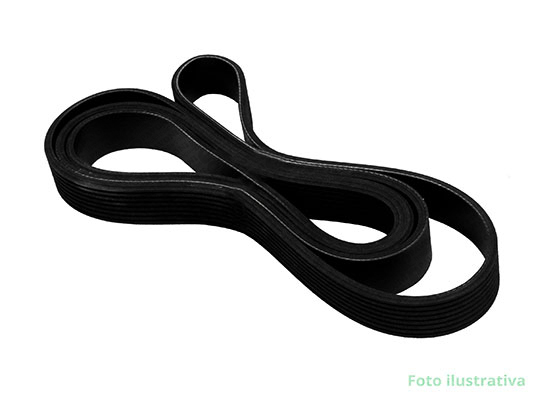 CORREIA