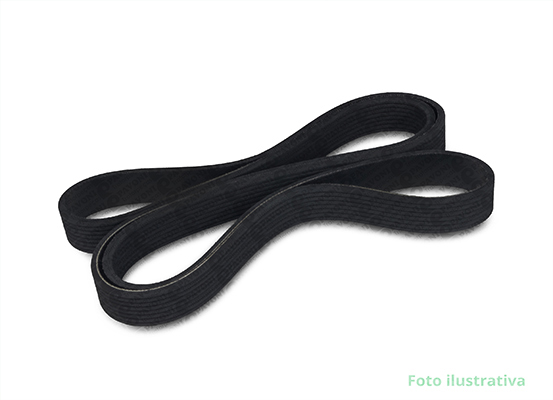 CORREIA