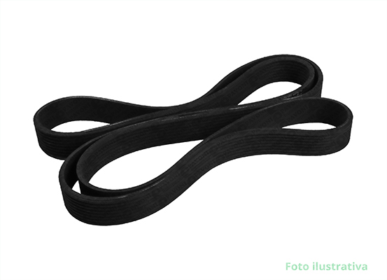 CORREIA