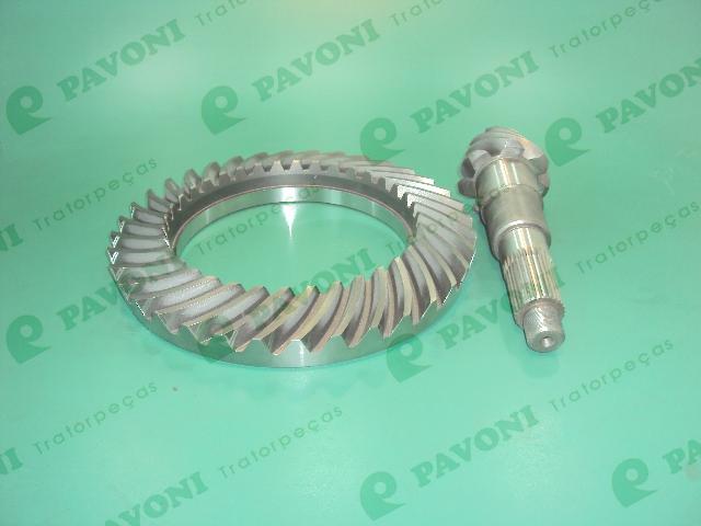 Coroa e pinhao l30 7x36
