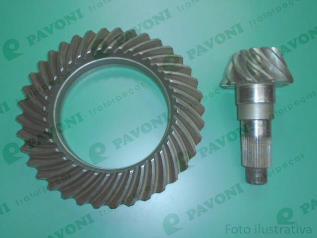 Coroa e pinhao 11x37