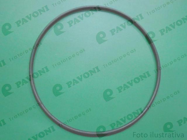 Anel o-ring