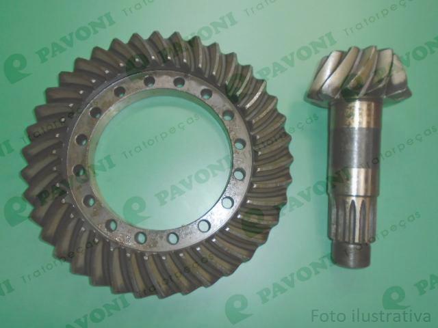 Coroa e pinhao 11x38