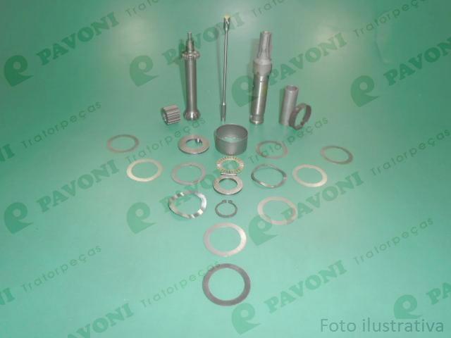 Reparo da arvore