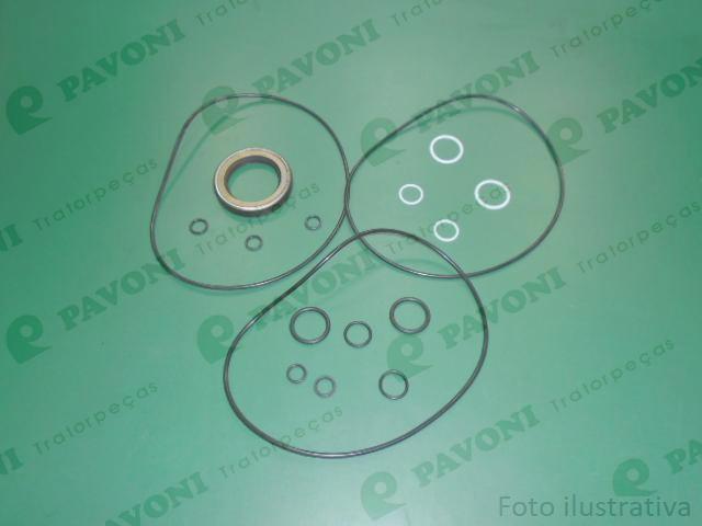 Reparo do motor de giro