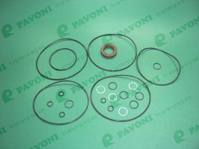 Reparo motor de reduçao