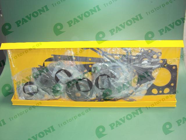 Kit vedacao motor d4d (completo)