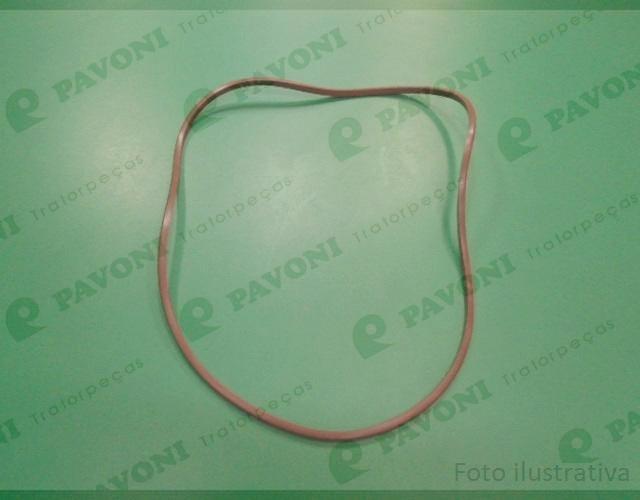 Anel  viton
