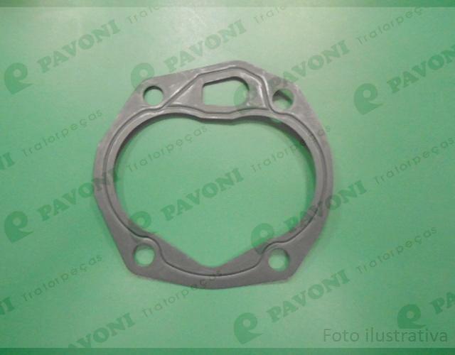 Guarnicao dana