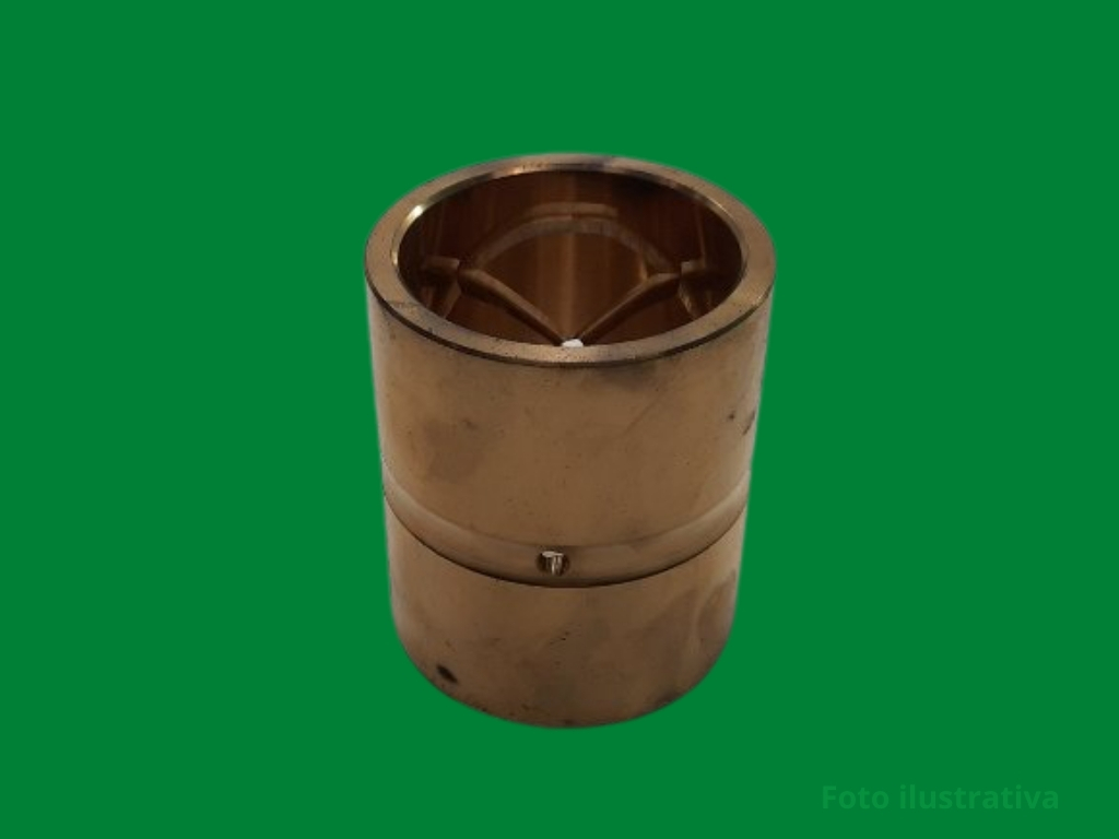 Bucha bronze