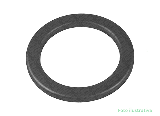 DEFLETOR DA FLANGE ORIG